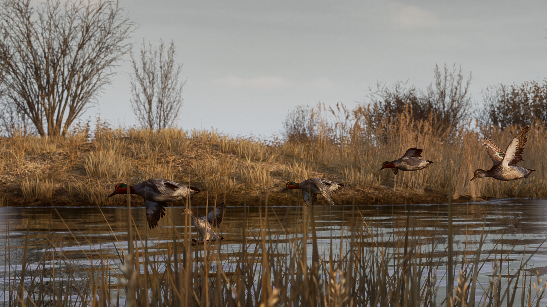 BULT：狩猎模拟器/BULT: Hunting simulator-网亿资源平台