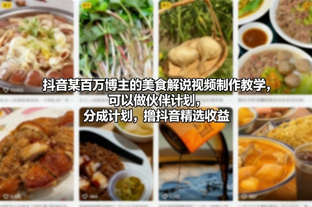 抖音某百万博主的美食解说视频制作教学，可以做伙伴计划，分成计划，撸抖音精选收益-邪修侠 - 演示
