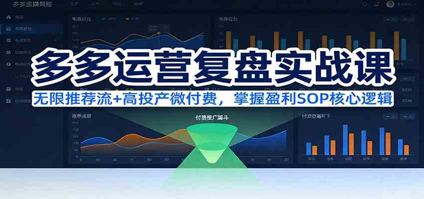 多多运营复盘实战课：无限推荐流+高投产微付费，掌握盈利SOP核心逻辑（更新）-网亿资源平台