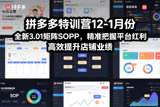 拼多多特训营12-1月份，全新3.01矩阵Sop，精准把握平台红利，高效提升店铺业绩-邪修侠 - 演示