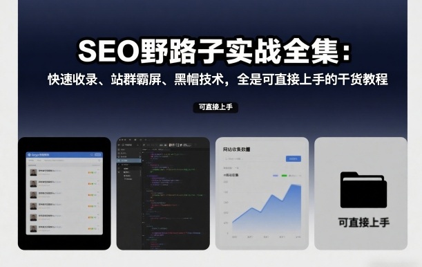 SEO野路子实战全集：快速收录、站群霸屏、黑帽技术，全是可直接上手的干货教程-邪修侠 - 演示
