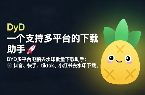 DYD多平台电脑去水印批量下载助手：抖音、快手、tiktok、小红书去水印下载-网亿资源平台