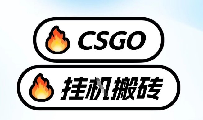 真全网独家CSGO挂G,最新玩法,单日捡漏1K+,不用电脑,不用打游戏【揭秘】-邪修侠 - 演示