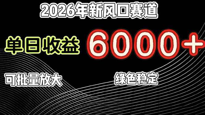 （17135期）2026年新风口赛道，当日6000+以上，可批量放大，月收入20万+，长期绿色稳定的项目-网亿资源平台
