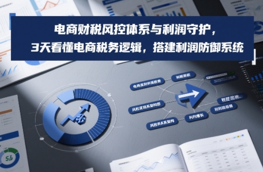 电商财税风控体系与利润守护，3天看懂电商税务逻辑，搭建利润防御系统-邪修侠