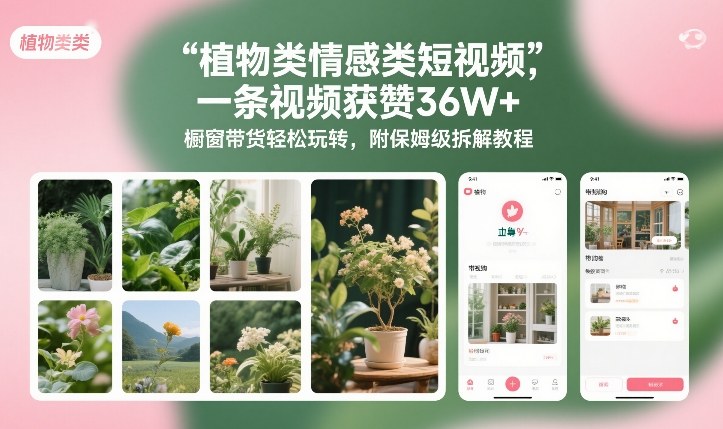 植物类情感类短视频,一条视频获赞36W+,橱窗带货轻松玩转,附保姆级拆解教程-邪修侠 - 演示