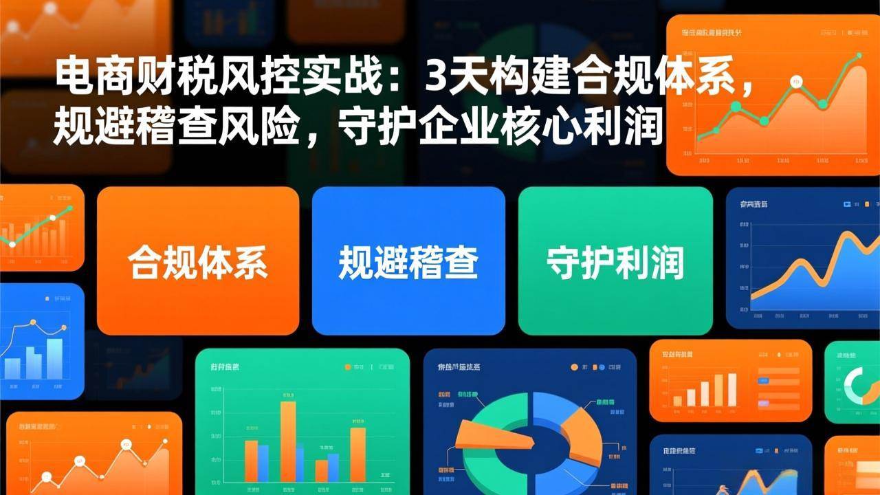 （17197期）电商财税风控实战：3天构建合规体系，规避稽查风险，守护企业核心利润-网亿资源平台