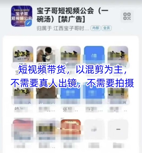 宝子哥头部团队短视频带货，以混剪为主，不需要真人出镜，不需要拍摄【更新26年1月】-网亿资源平台