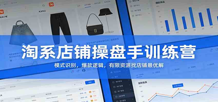 淘系店铺操盘手训练营：模式识别，爆款逻辑，有限资源找店铺最优解-网亿资源平台