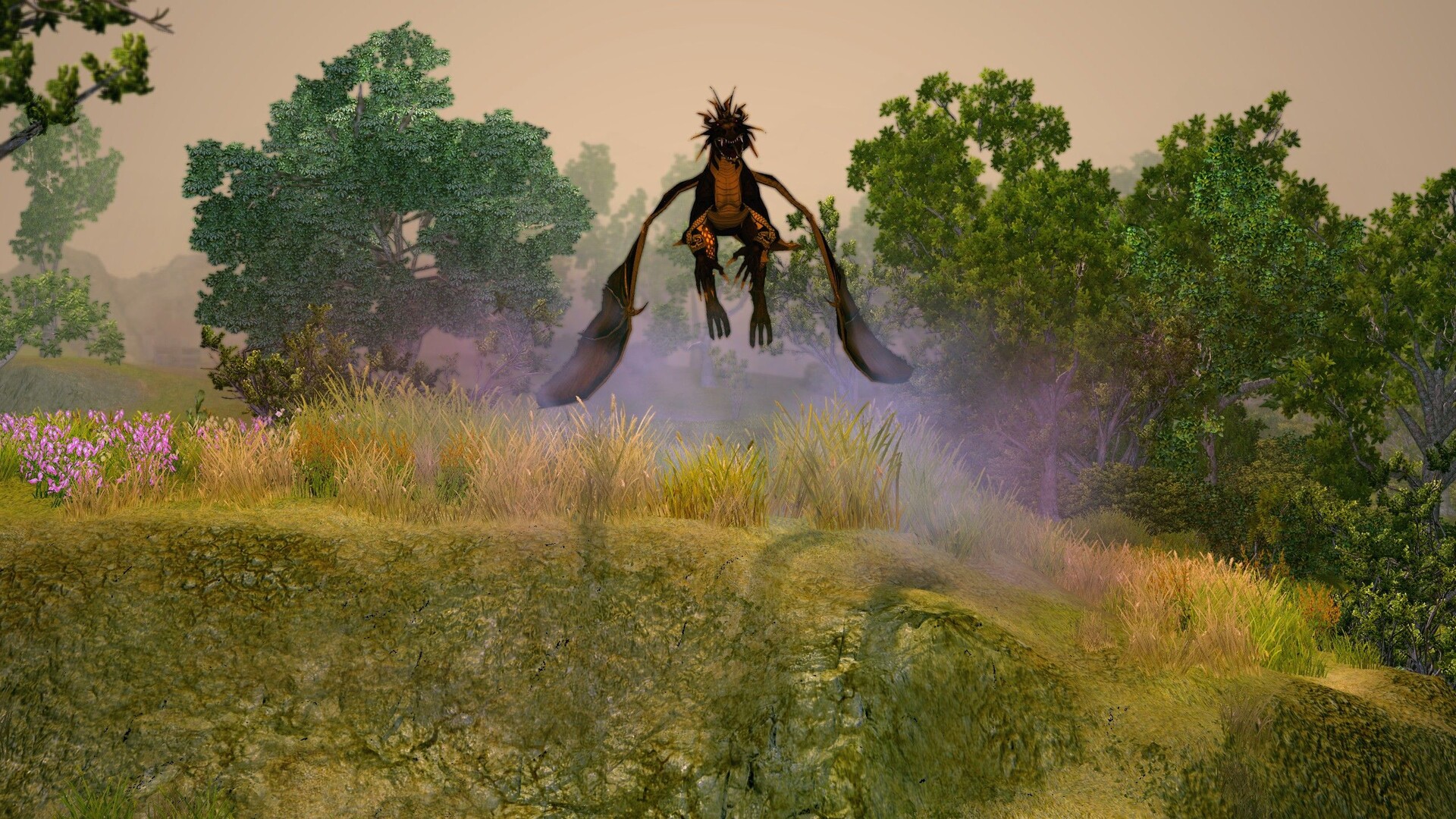 《圣域2：重制版》v1.5原版-网亿资源平台