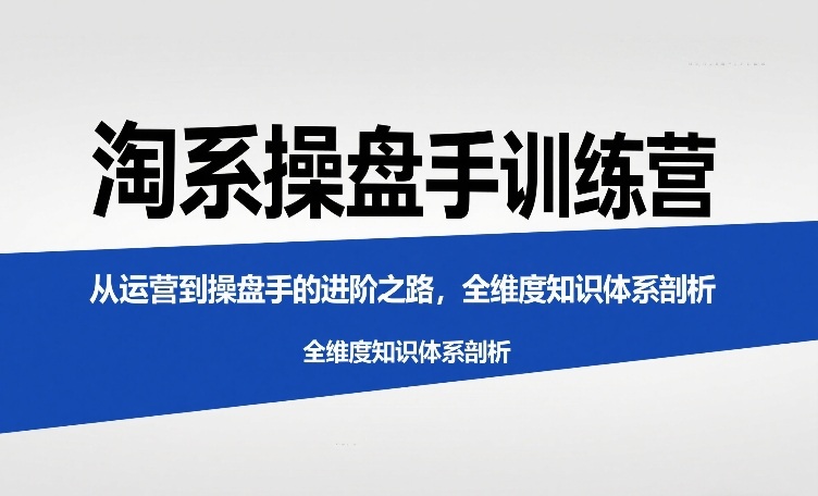 淘系操盘手训练营，从运营到操盘手的进阶之路，全维度知识体系剖析-邪修侠 - 演示