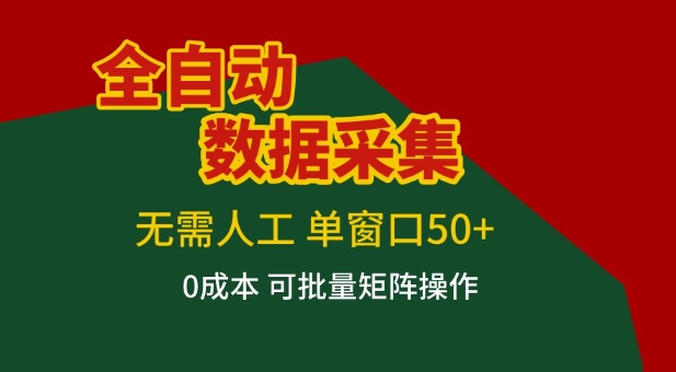 全自动数据采集项目，无需人工，单窗口可达50+收益，操作简单无难度，一个人也能轻松实现矩阵【揭秘】-网亿资源平台