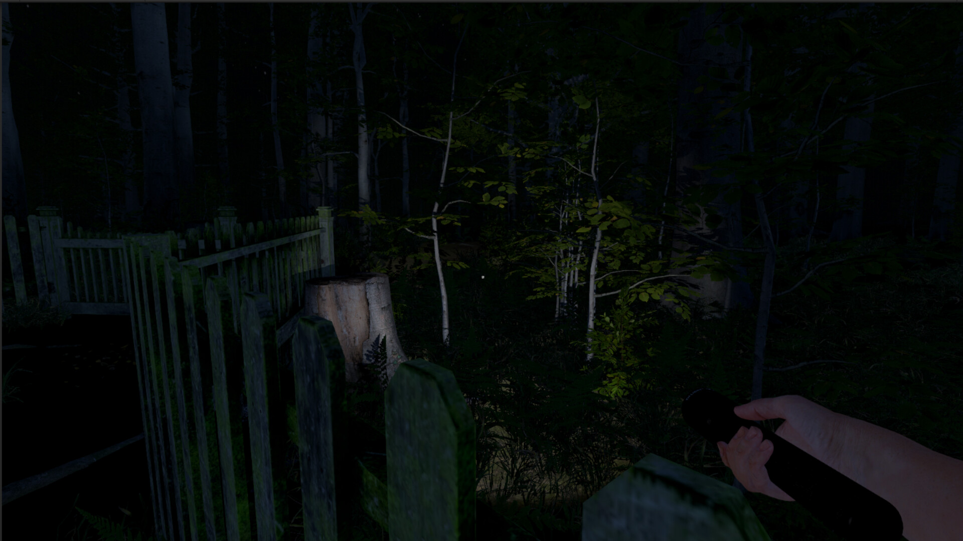 灰人：人类绑架/The Greys: Human Abductions-网亿资源平台