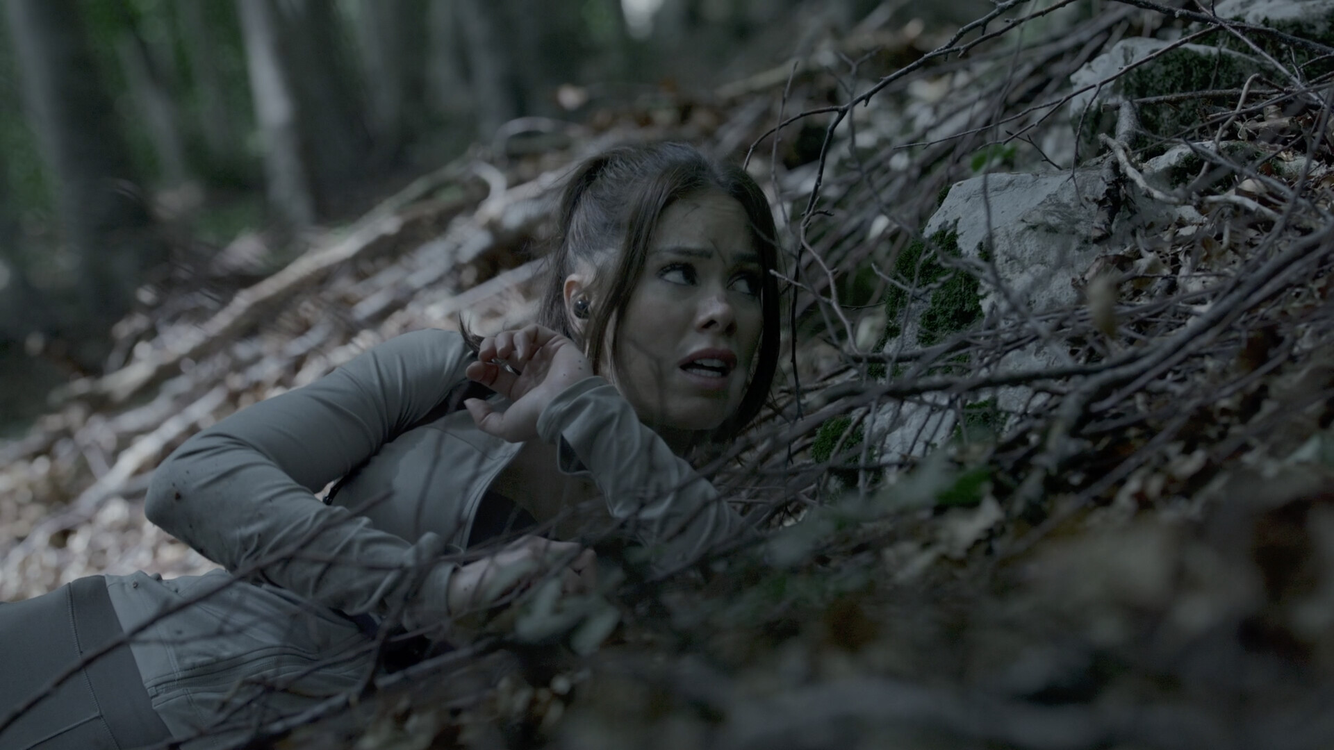 奔跑/The Run-网亿资源平台