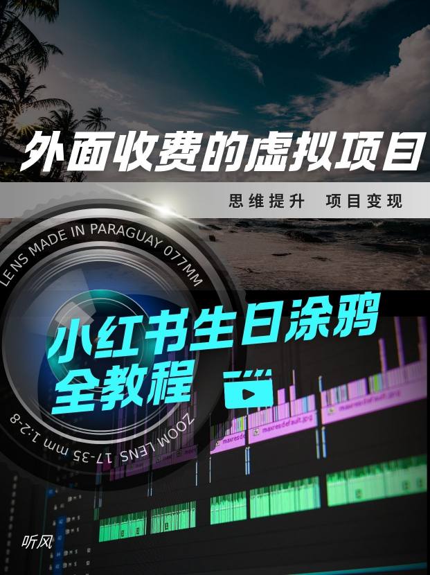 外面收费的小众虚拟项目，小红薯生日涂鸦，每日50-2张-网亿资源平台