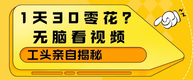 1天30零花？无脑看视频，大佬亲自揭秘-邪修侠 - 演示