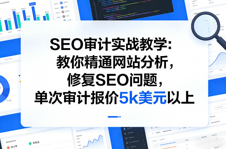 SEO审计实战教学：教你精通网站分析，修复SEO问题，单次审计报价5k美元以上-网亿资源平台