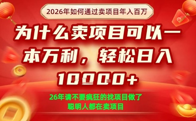 一单净利润1K+,26年想年入100个W,死磕卖项目就够了【揭秘】-邪修侠 - 演示
