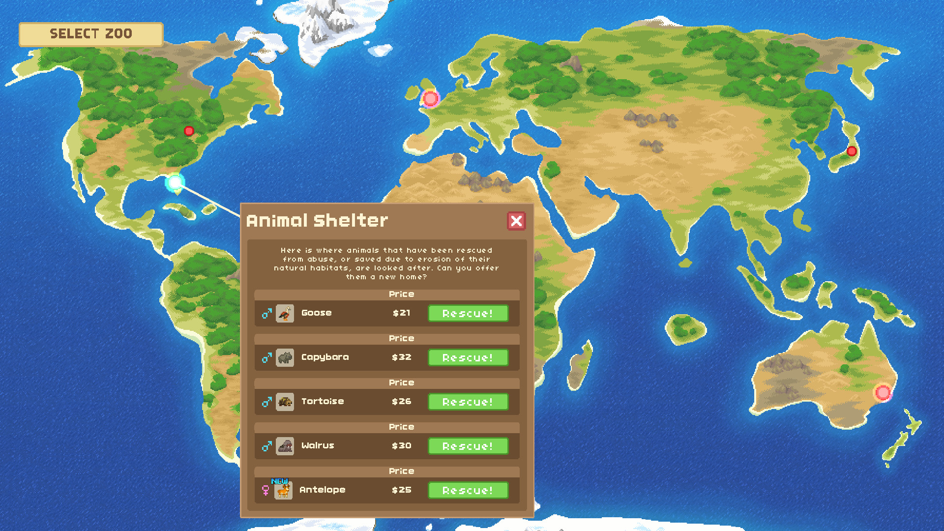 来建一家动物园/让我们建一个动物园吧/Let's Build a Zoo 来建一家动物园/让我们建一个动物园吧/Let's Build a Zoo