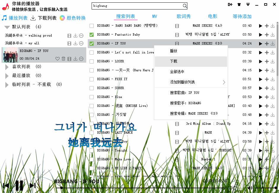 你妹的播放器全套源码功能齐全-网亿资源平台