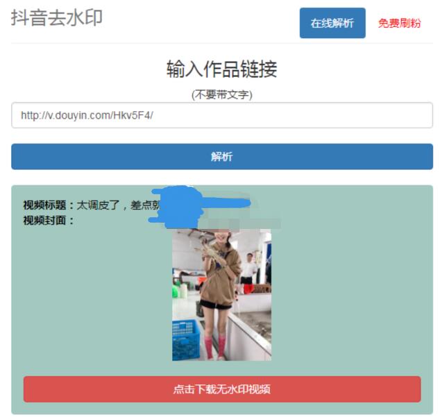 抖音在线去水印网站PHP源码-网亿资源平台