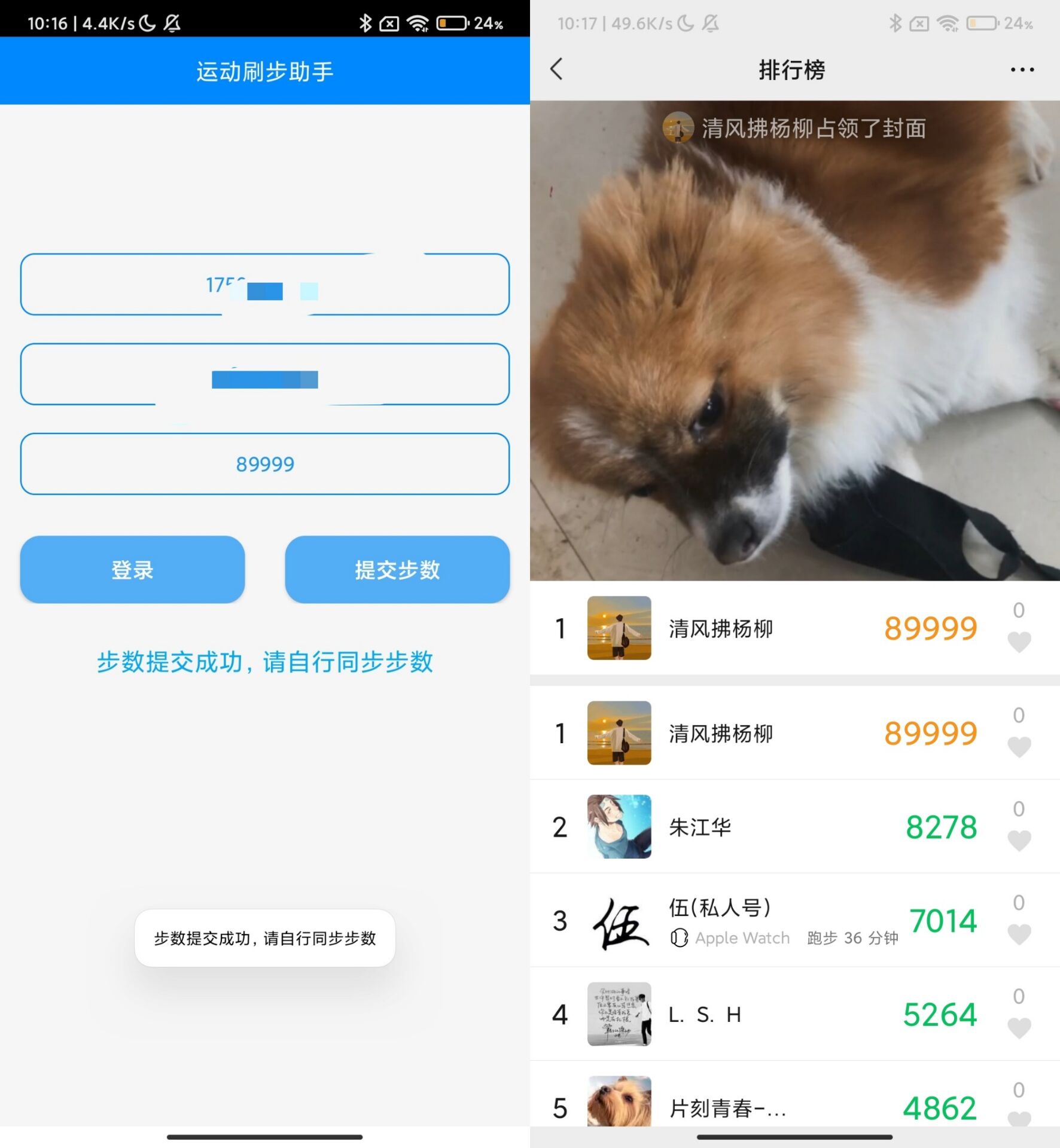 布偶步数助手 支持QQ微信支付宝-极栈网络